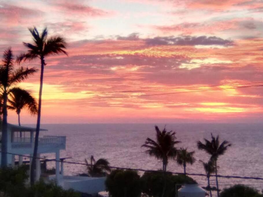 Villa Palmitas Acogedor Departamento Nivel Piscina Gigante Jardines Acapulco Exteriér fotografie